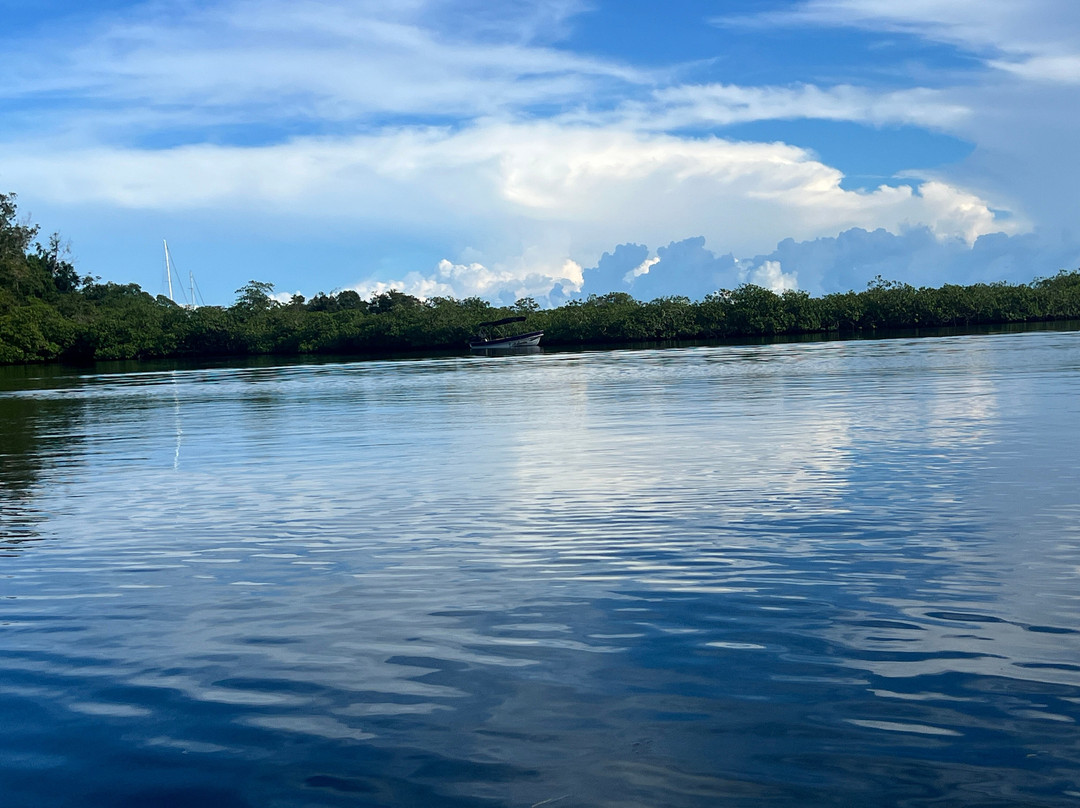 Bocas Water Excursions-Bocas del Toro必去景点