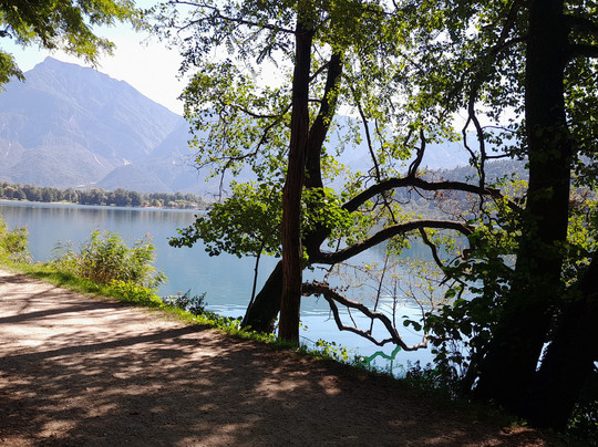 Hotel Ambassador主图