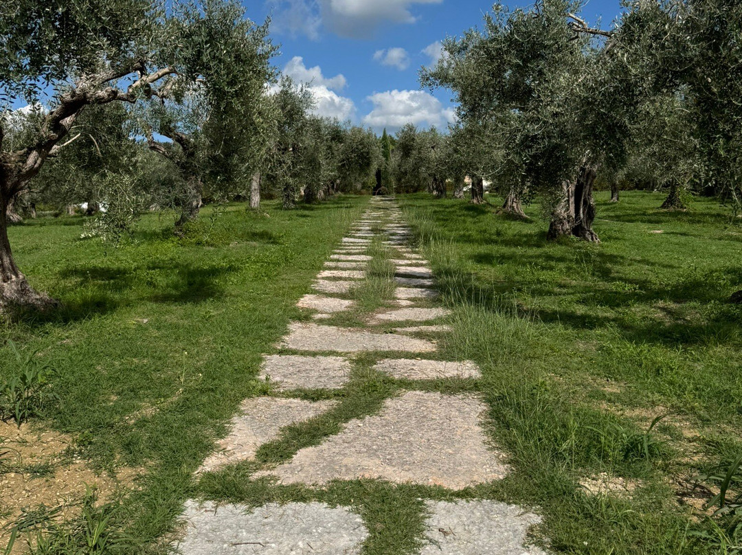 Delser Manor House Hotel主图