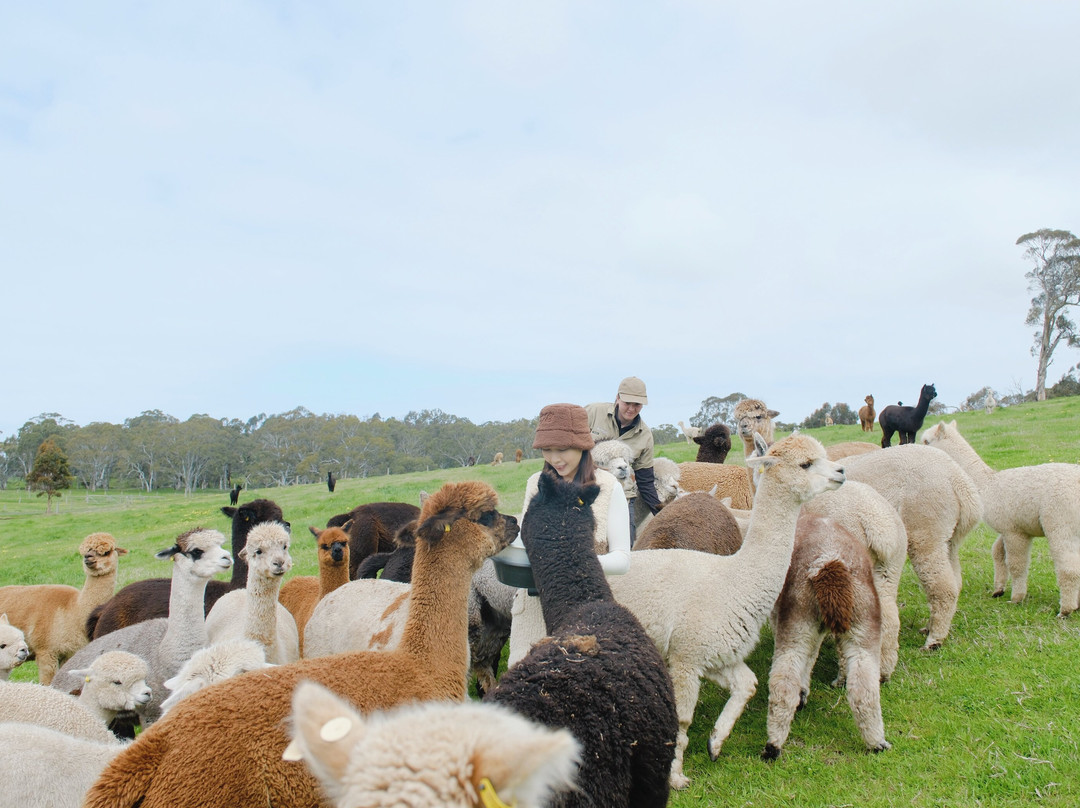 Softfoot Farm & Wildlife Park-Hindmarsh Valley必去景点