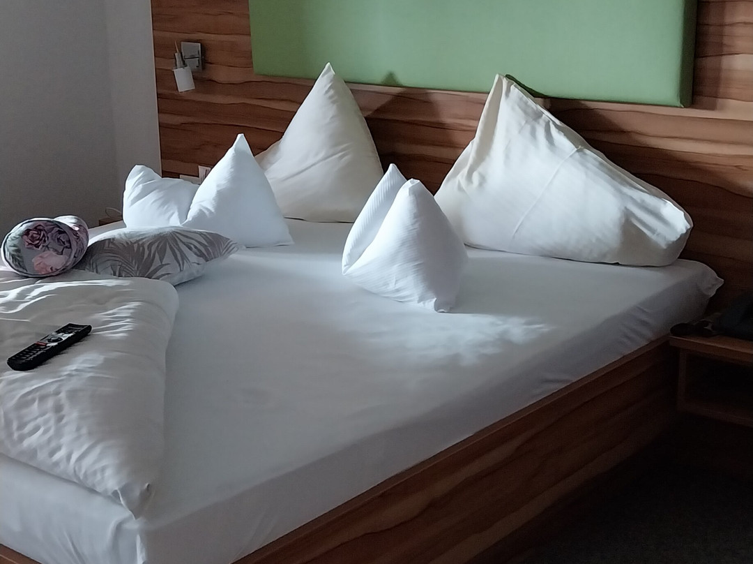 Panorama Hotel Talhof主图