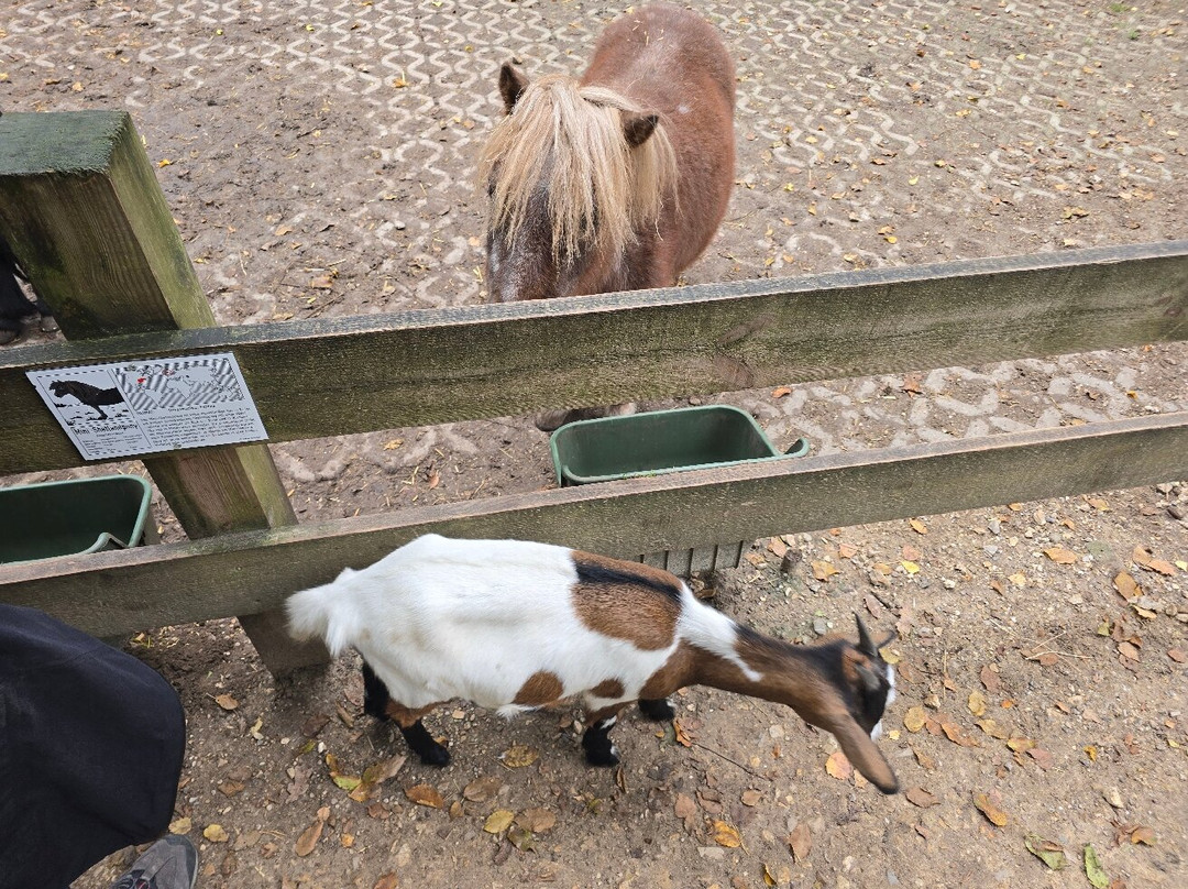 Vogel- und Tierpark Abensberg-阿本斯贝格必去景点