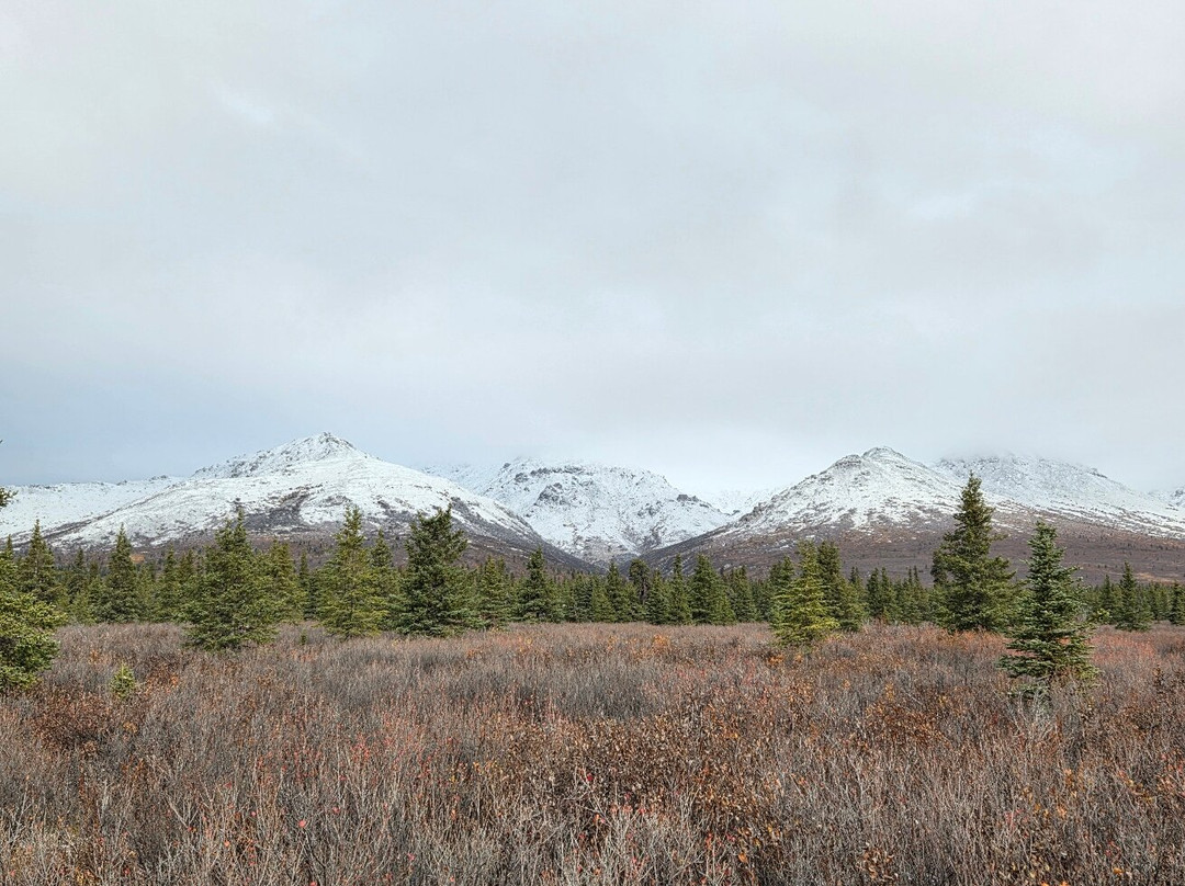 Denali National Park-阿拉斯加必去景点