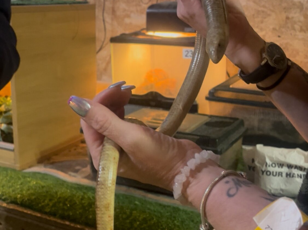 Windmill Animal Farm-Burscough必去景点