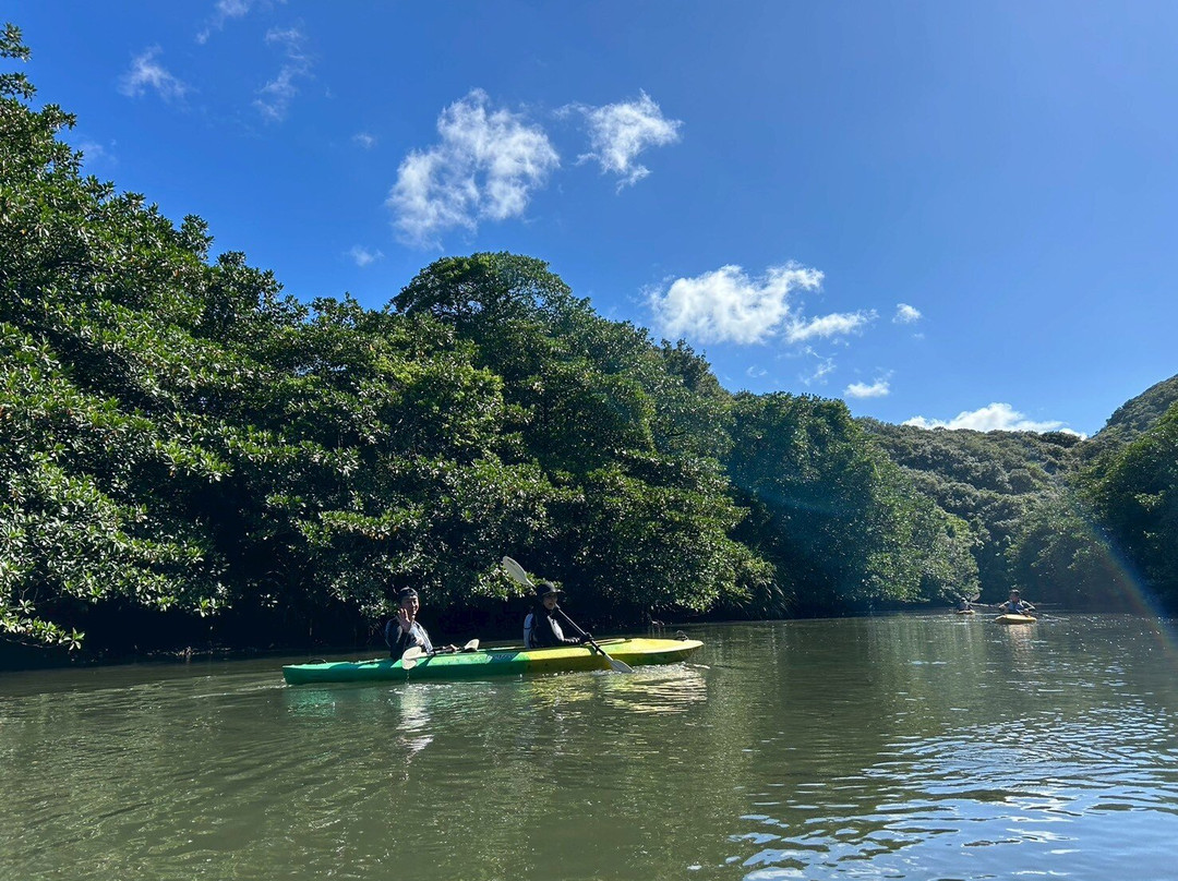 Iriomote Island Kayaks Kazaguruma-竹富町西表岛必去景点