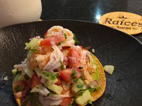 Raíces Fusión, Playa del Carmen