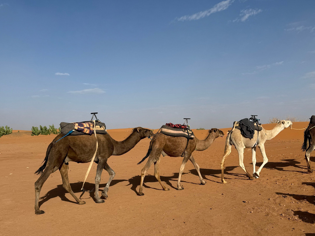 Sahara Tours Marocco-马拉喀什必去景点