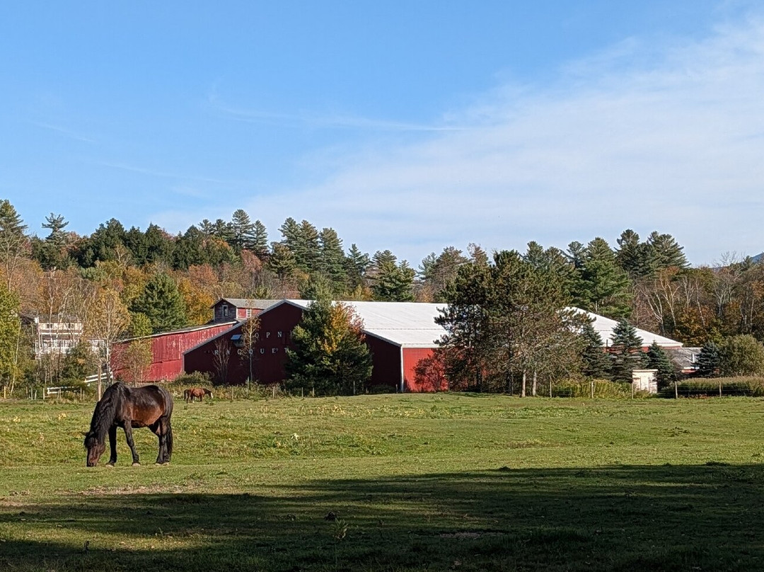 Innsbruck Inn at Stowe主图