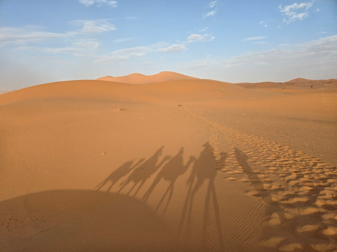 Good Morocco Travel-非斯必去景点