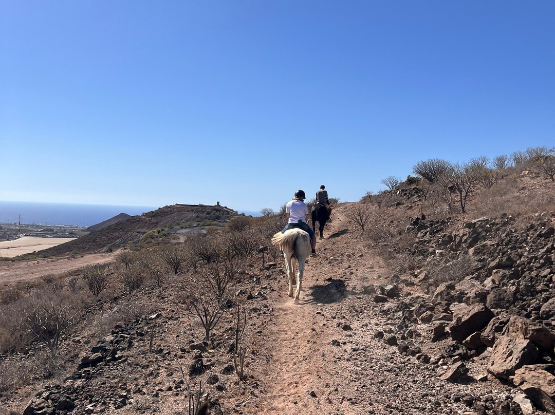 Horse Riding Adventures In Tenerife-圣米格尔德亚沃纳必去景点