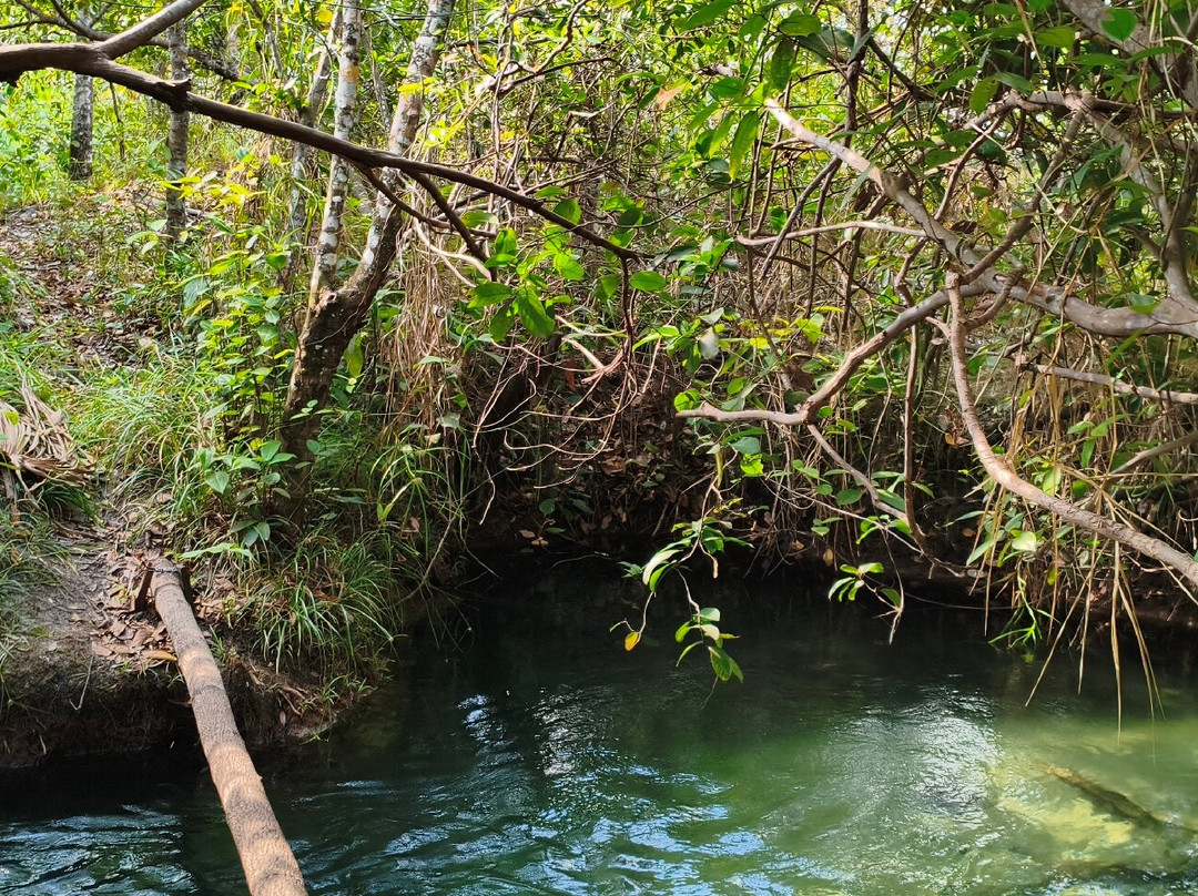 40 Graus no Cerrado-Palmas必去景点