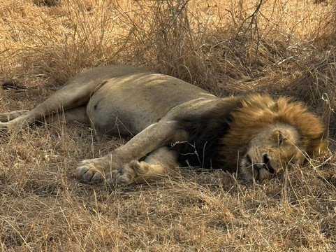 African Aerial Safaris-比勒陀利亚必去景点