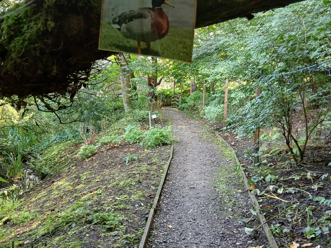 Pendle Heritage Centre-Barrowford必去景点