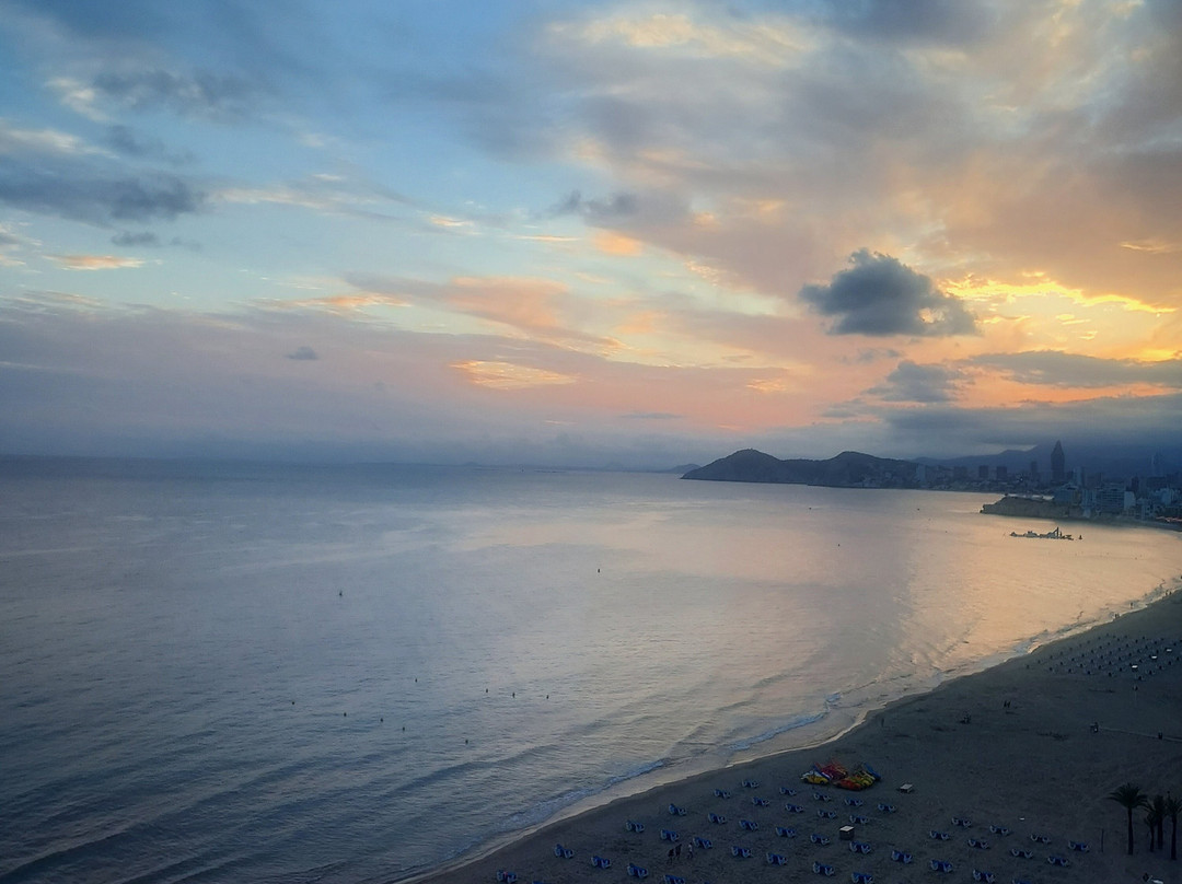 El Cisne Antiguedades-贝尼多姆必去景点