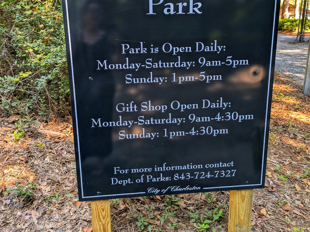 Angel Oak Tree-Johns Island必去景点