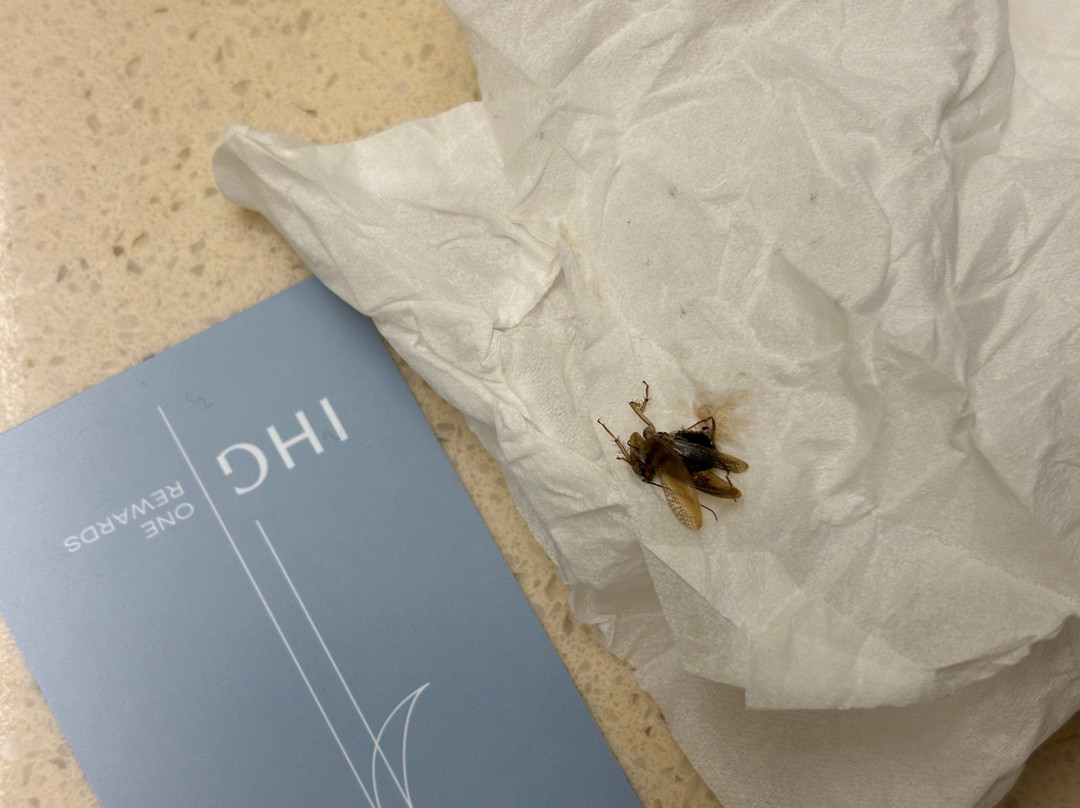 Staybridge Suites Cincinnati North by IHG主图