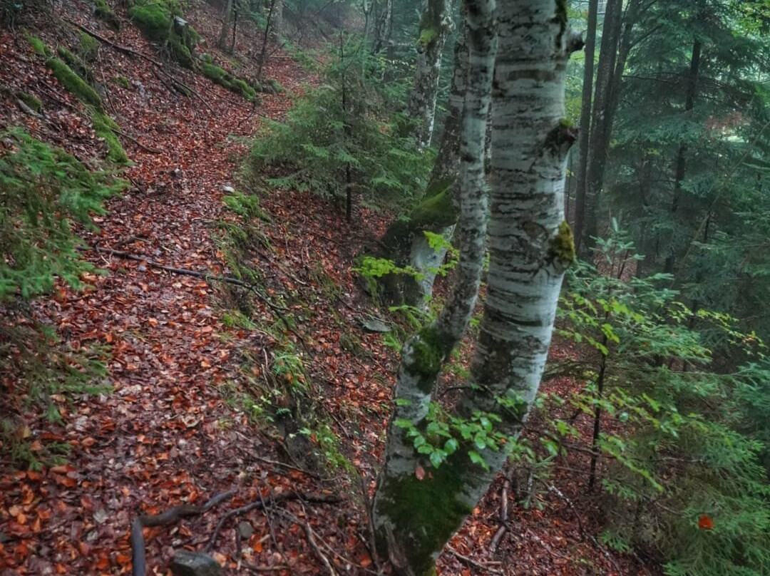 Top Guides Bulgaria-索非亚必去景点