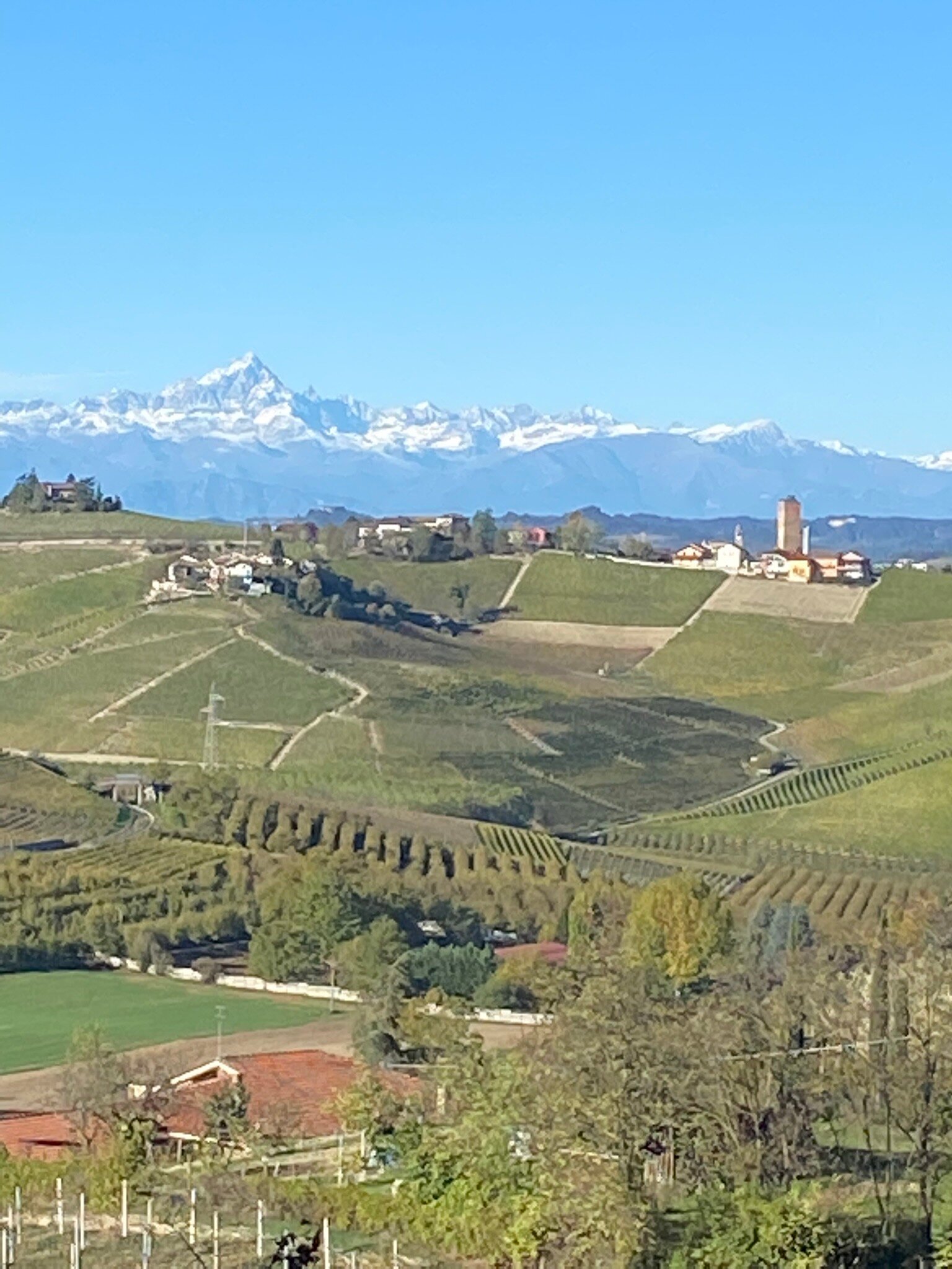 Hotel Villa Lauri-官方