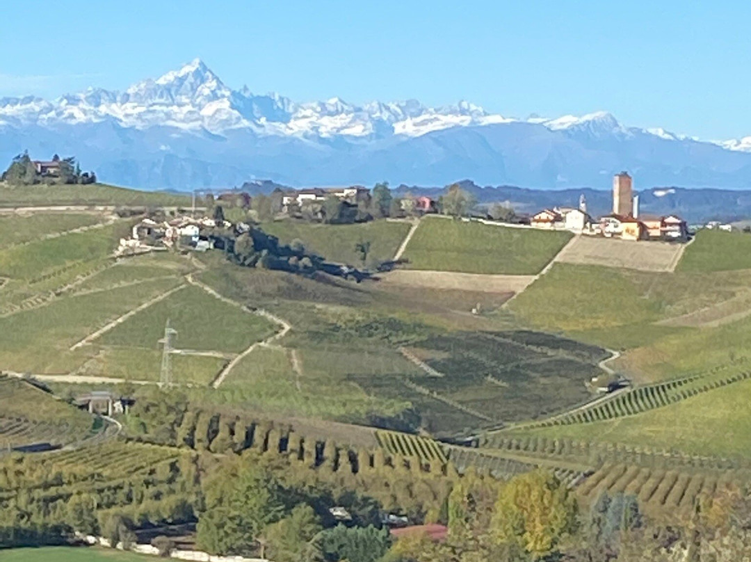 Hotel Villa Lauri主图