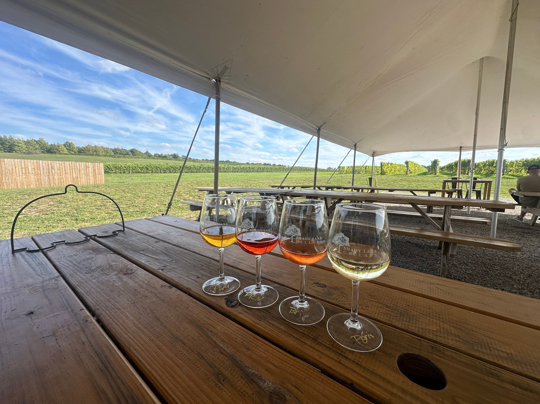 Shady Lane Cellars-Suttons Bay必去景点