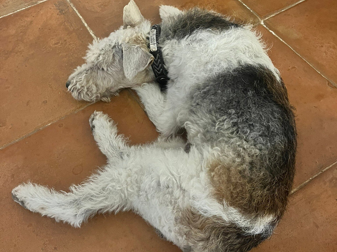 Hotel Can Verdera主图