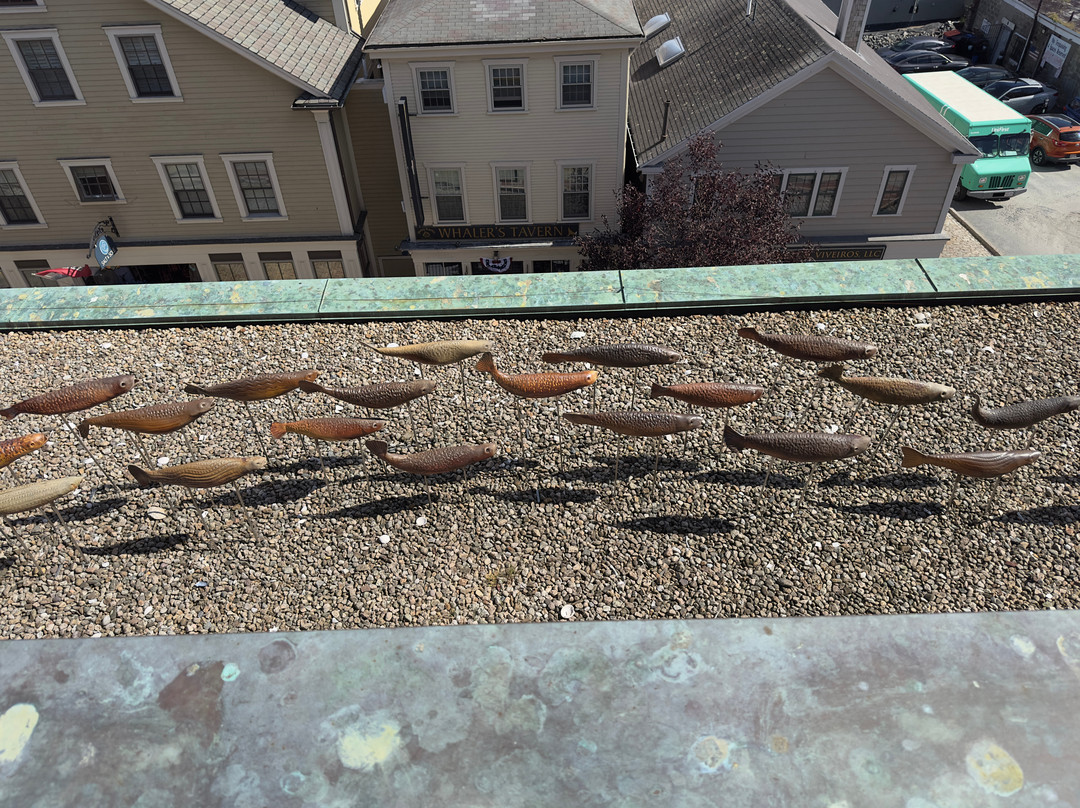 New Bedford Whaling Museum-新贝德福德必去景点