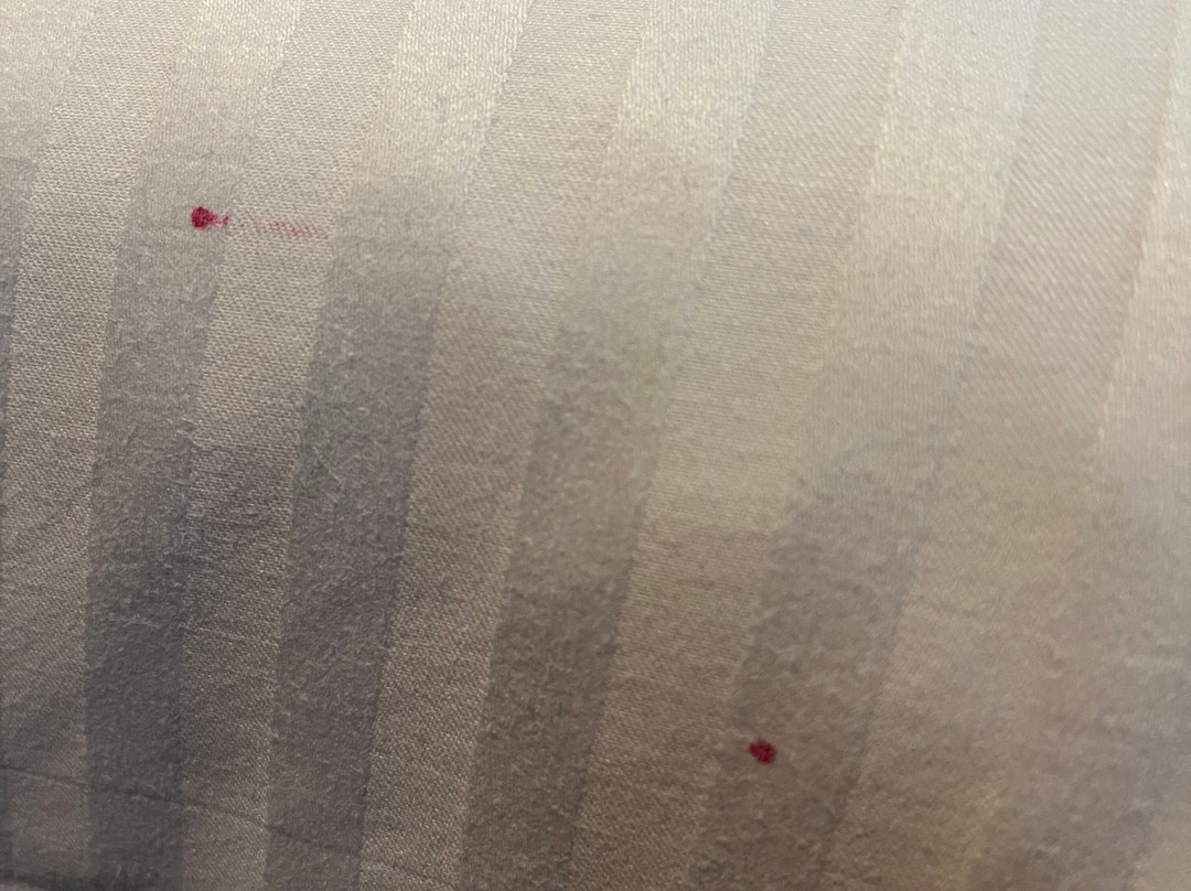 梅费尔酒店主图