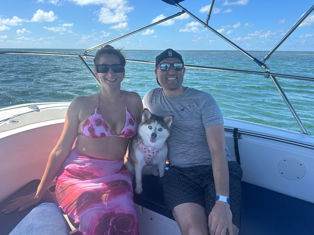 Wild About Dolphins-基韦斯特必去景点