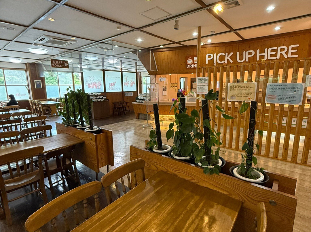 Fuji Safari Park-裾野市必去景点