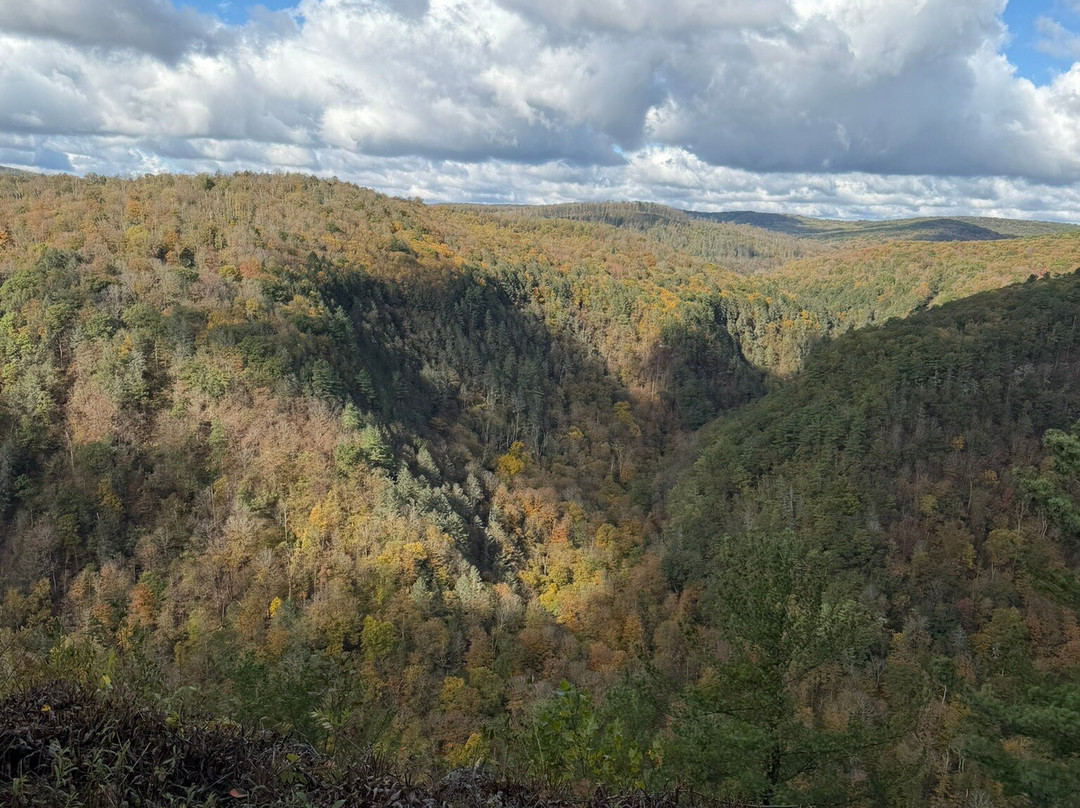 Pennsylvania Grand Canyon-Wellsboro必去景点
