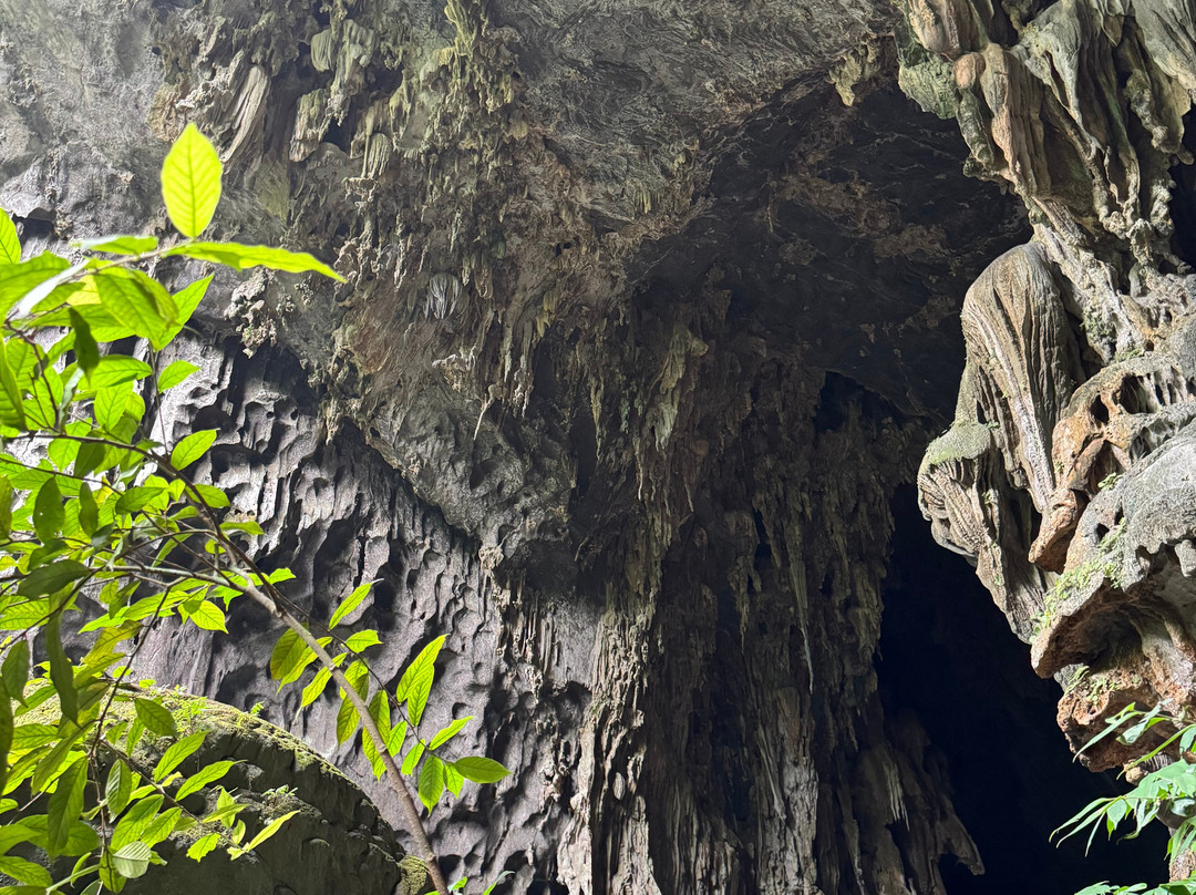 Jungle Boss Tours-峰牙－己榜国家公园必去景点