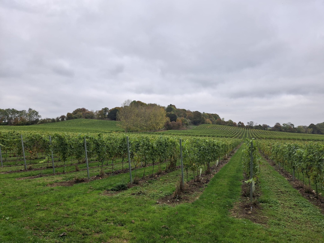 Wildshark Vineyard-Harrietsham必去景点