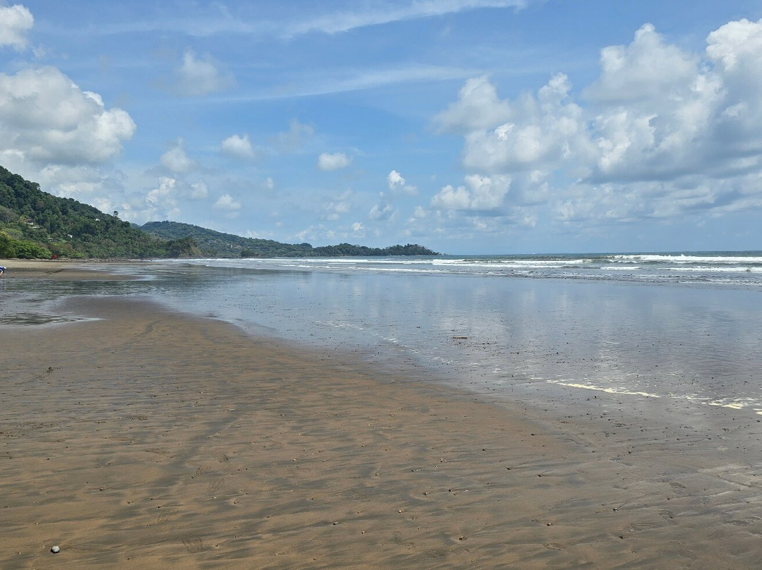 Playa Dominical-主日镇必去景点