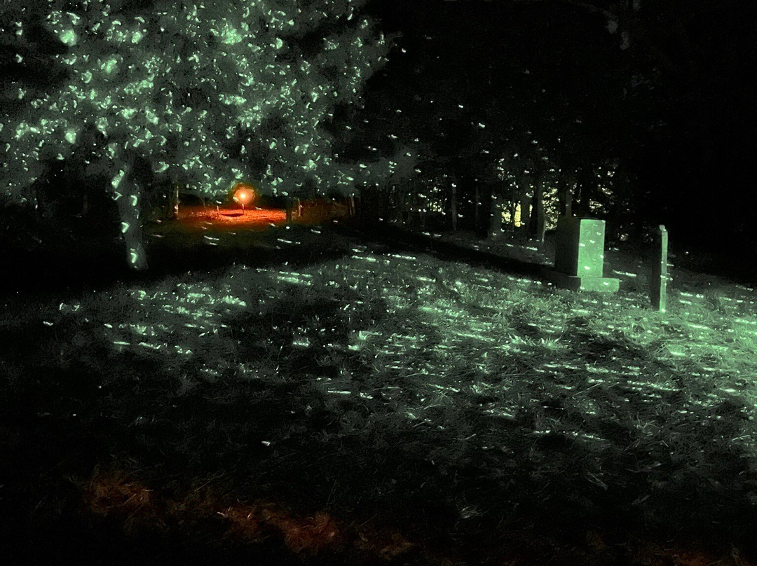 Canoe the Caney-Silver Point必去景点