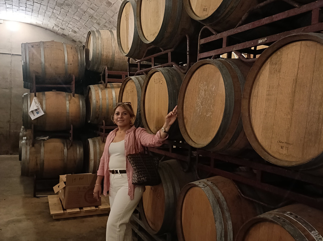 Canals & Munne-桑特萨杜尔尼达诺亚必去景点