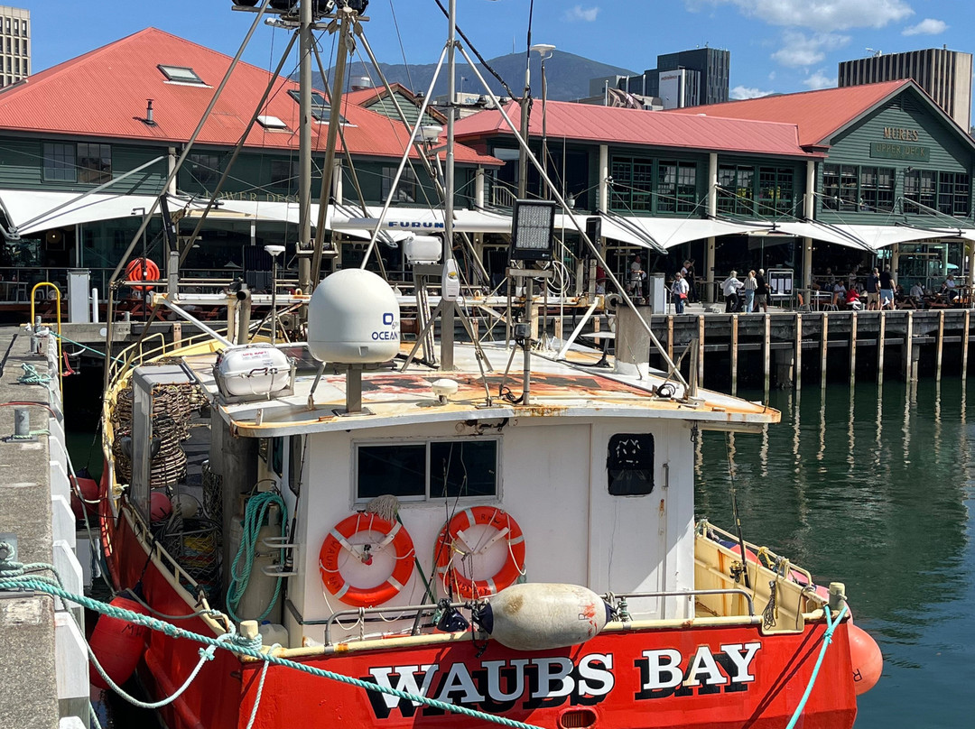 宪法码头-霍巴特必去景点