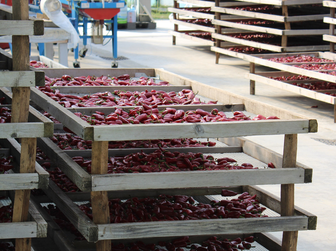 L'Atelier du Piment-Espelette必去景点