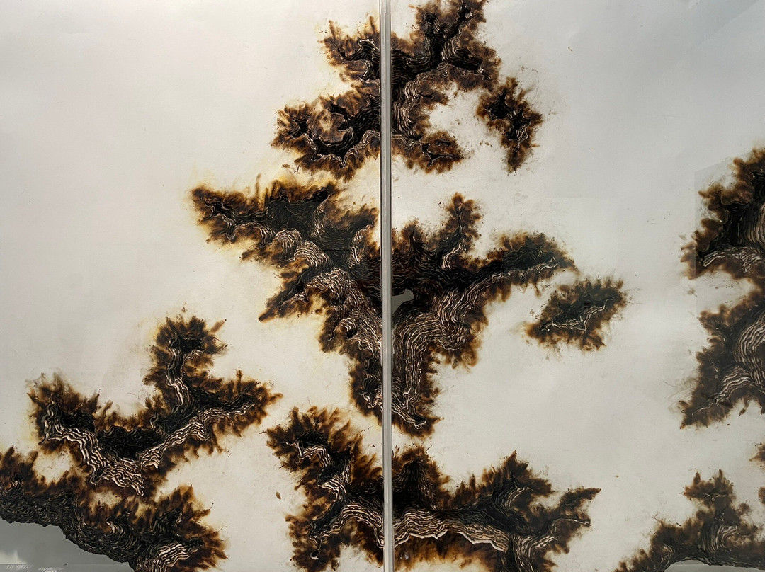 穆罕默德六世现当代艺术博物馆-拉巴特必去景点