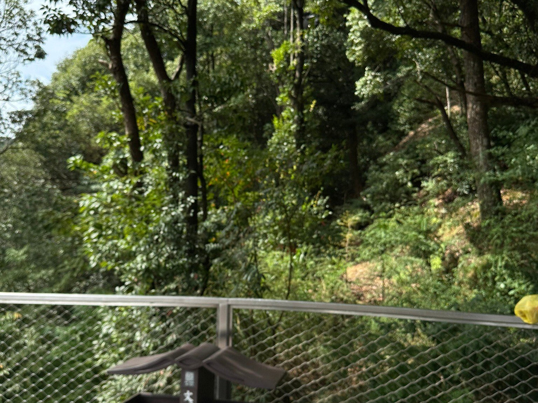Ruyi Bridge at Shenxianju