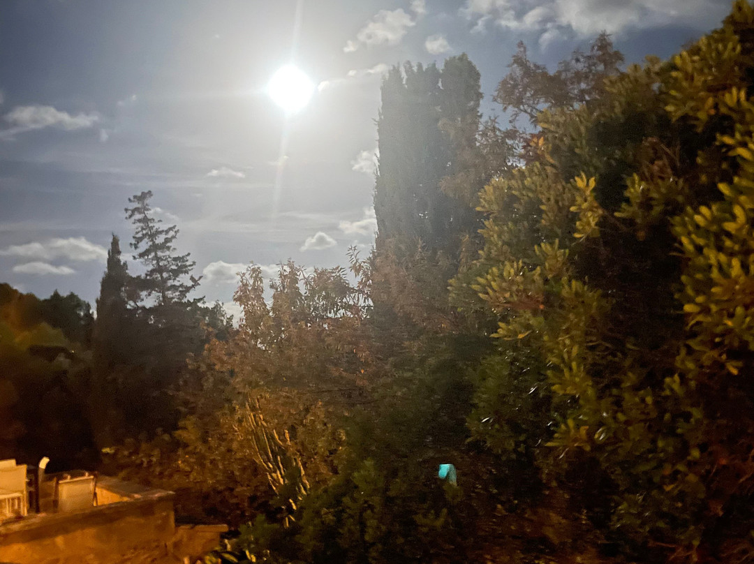 Port D' Andratx-Port d'Andratx必去景点