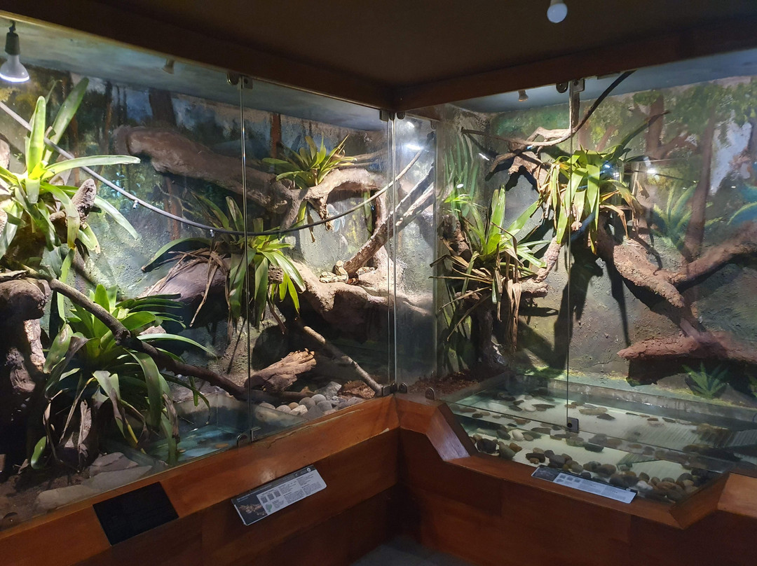 Vivarium de Quito-基多必去景点