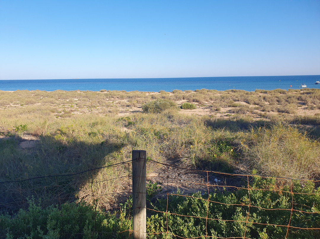 Mackerel Islands主图