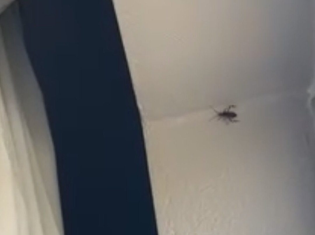 Quality Inn Colchester Burlington主图