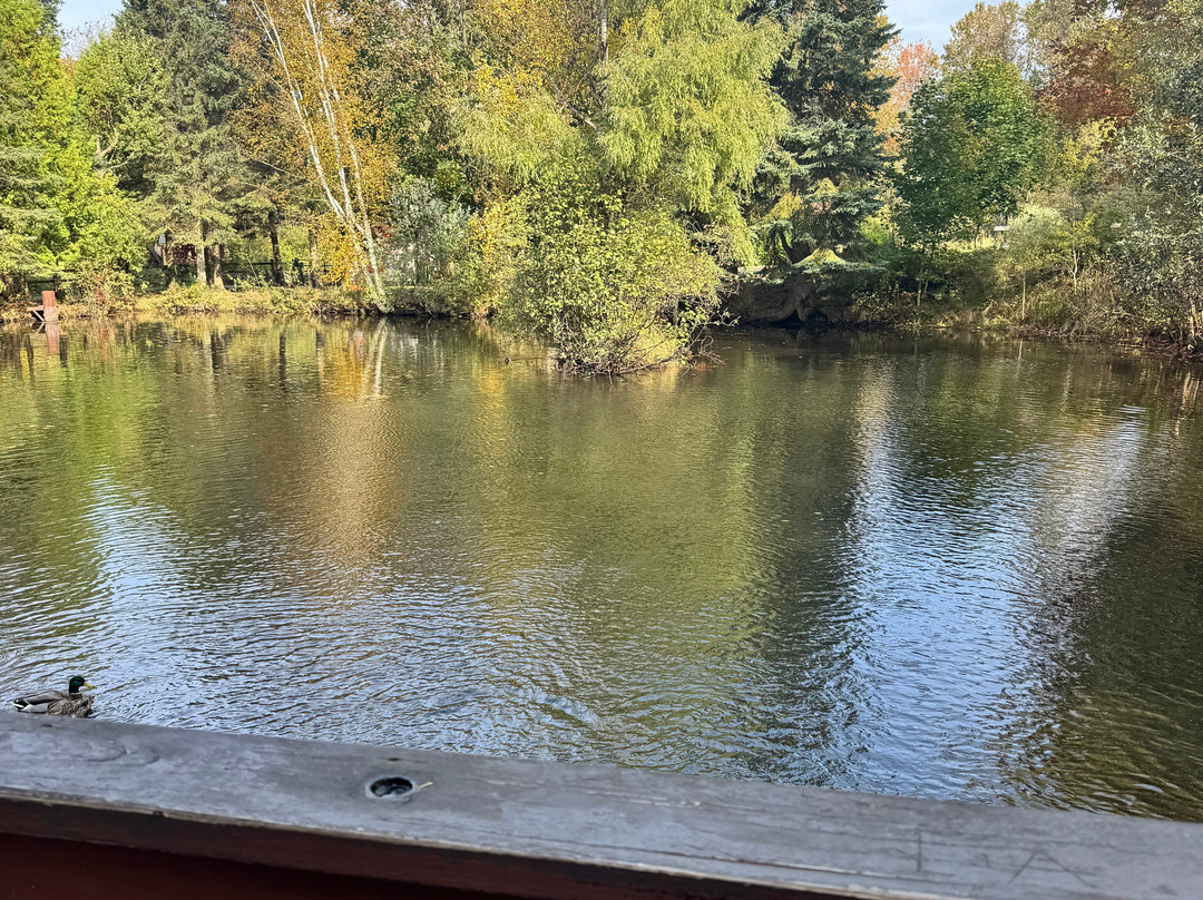 Horseshoe Falls-缪尼辛必去景点
