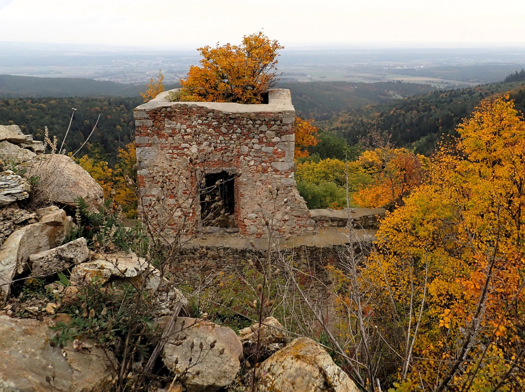 Burgruine Landsee-Landsee必去景点
