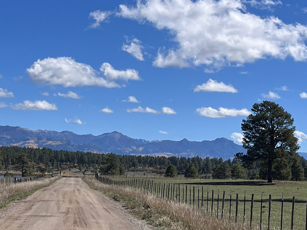 Elk Trace Bed & Breakfast主图