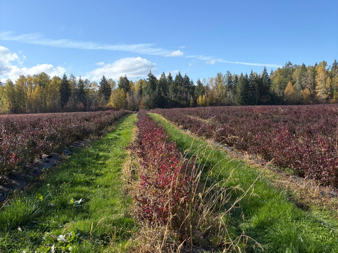 Coastal Black Estate Winery-黑溪必去景点
