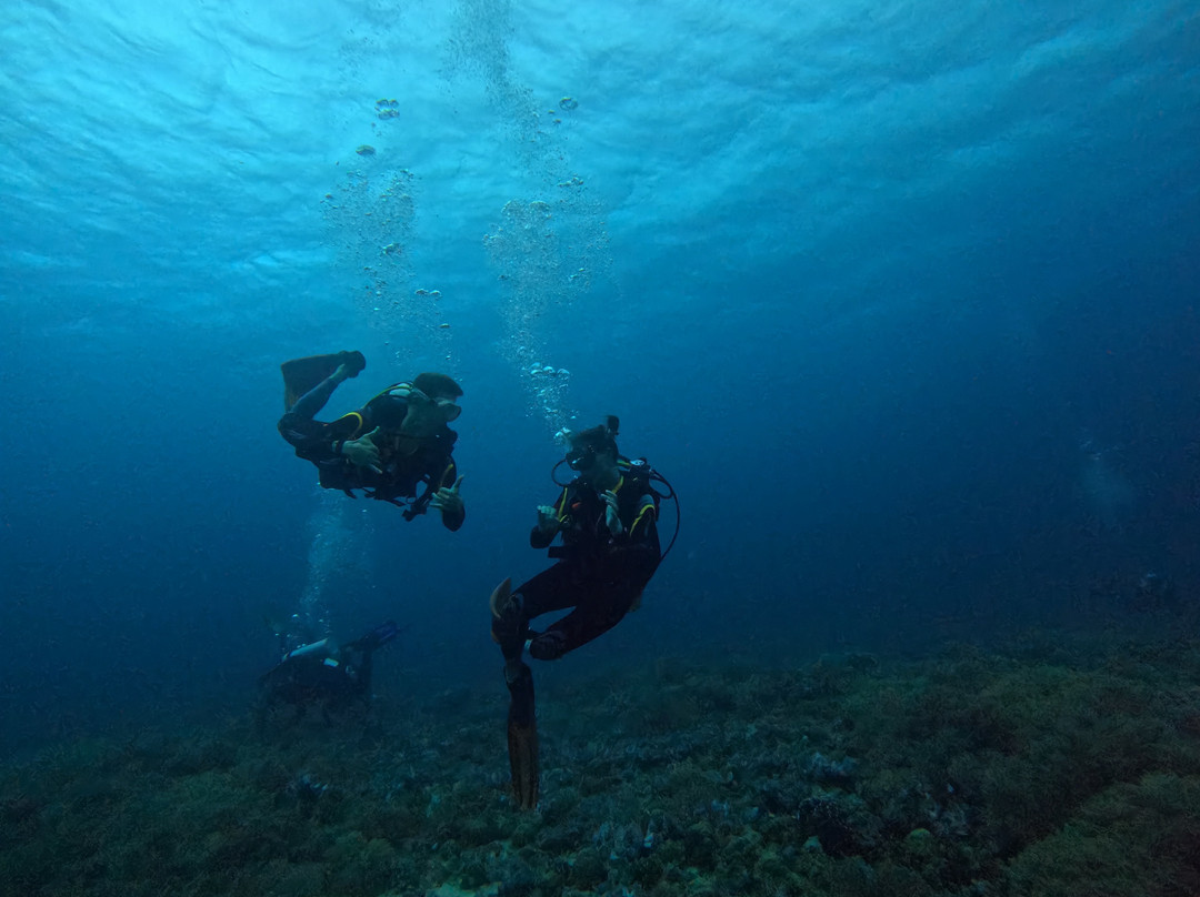 Mbi Divecenter-妈妈拍丝瓜岛必去景点