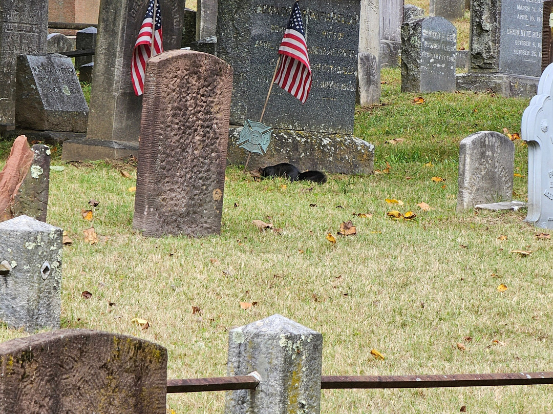 Old Burying Point Cemetery-塞勒姆必去景点