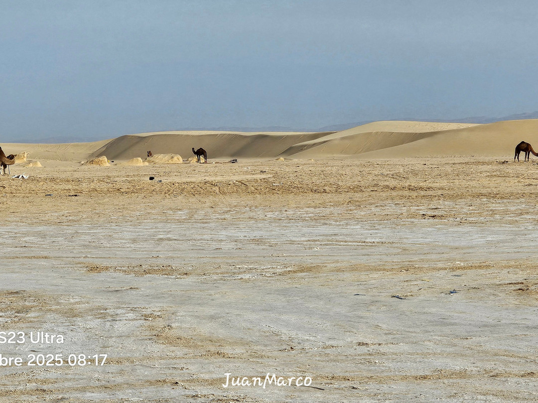 Décor Star Wars Tunisie-吐泽尔必去景点